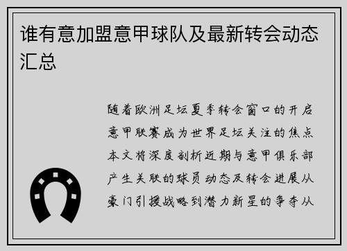 谁有意加盟意甲球队及最新转会动态汇总